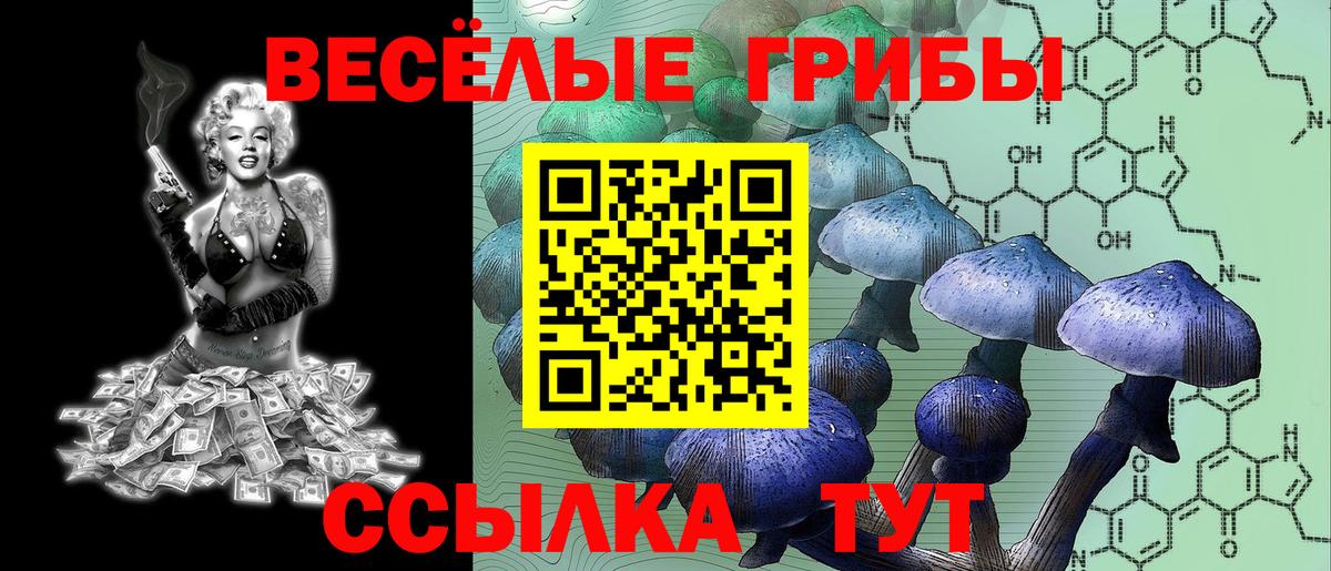 Галлюциногенные грибы GOLDEN TEACHER  Вход с VPN  Мценск  Галлюциногенные грибы ЛСД 