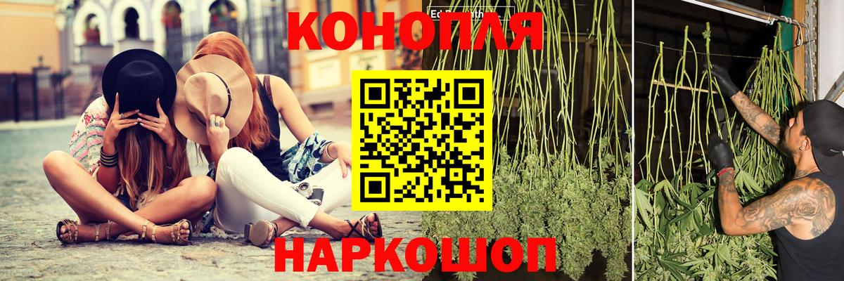 МАРИХУАНА планчик  Шишки марихуана сатива  Мценск  Вход с VPN 